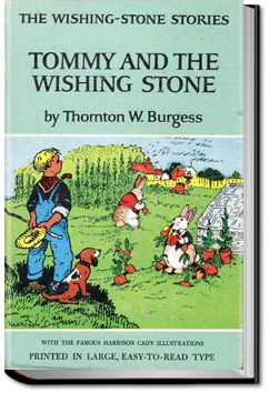 Tommy and the Wishing Stone | Thornton W. Burgess